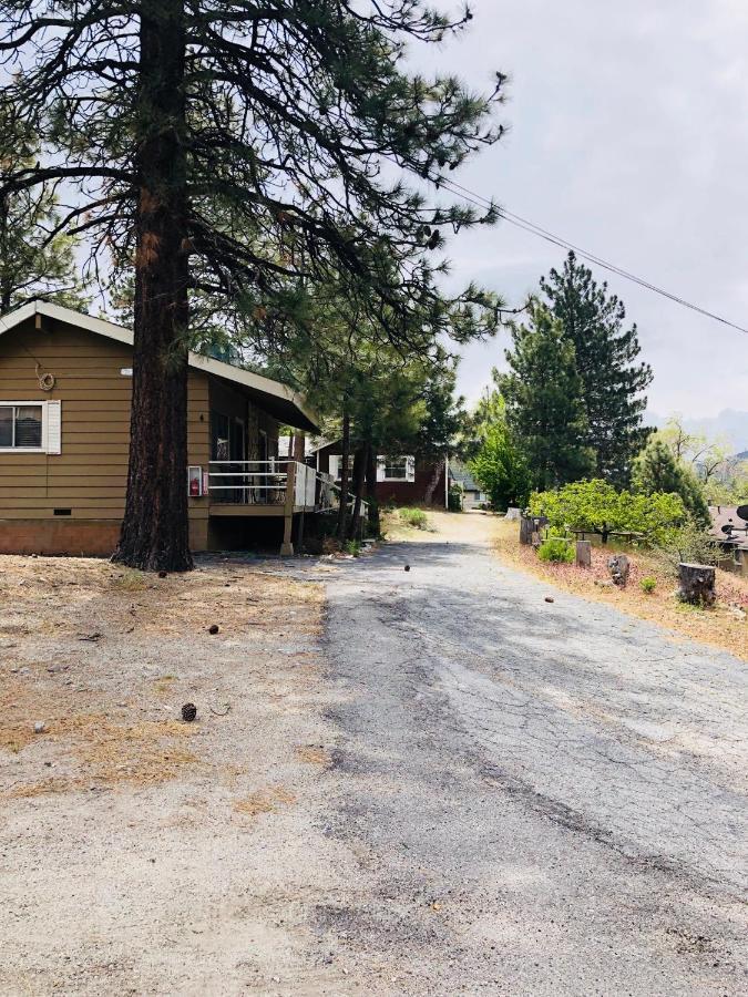 Mountain View Cabins 라이트우드 외부 사진